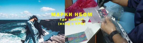 стаф Горняк