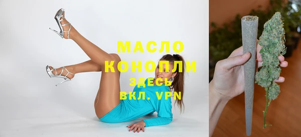 стаф Горняк