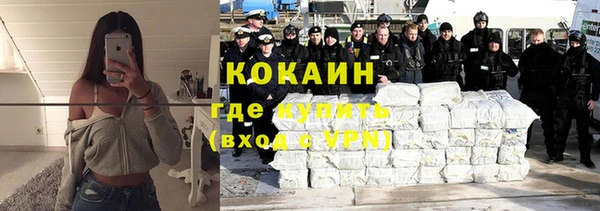 стаф Горняк