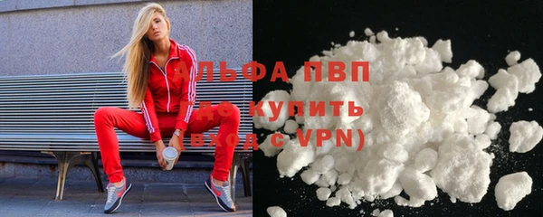 стаф Горняк
