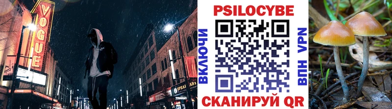 ссылка на мегу маркетплейс  Краснознаменск  Псилоцибиновые грибы MAGIC MUSHROOMS 